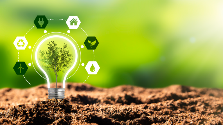 3 Renewable Energy Stocks to Own Before the Election Frenzy Begins